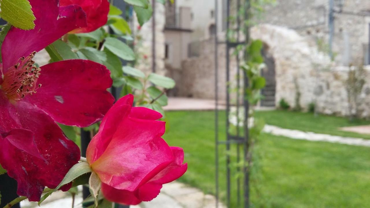 Alloggi Agrituristici Antica Dimora Villa San Demetrio ne' Vestini Dış mekan fotoğraf